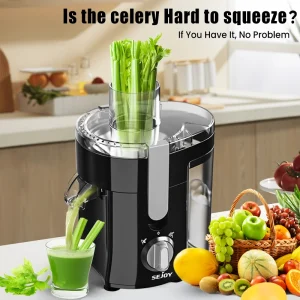 Compact Electric Juicer
